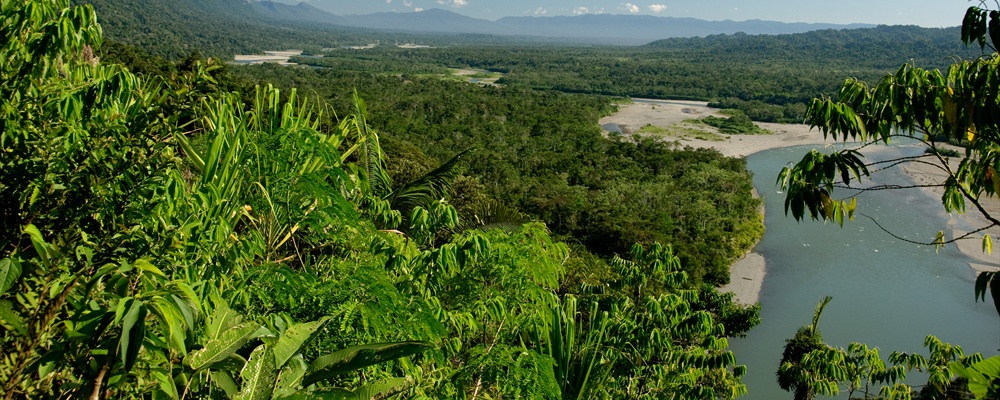 Manu National Park-71